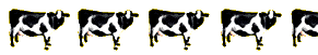 4.5 Cows