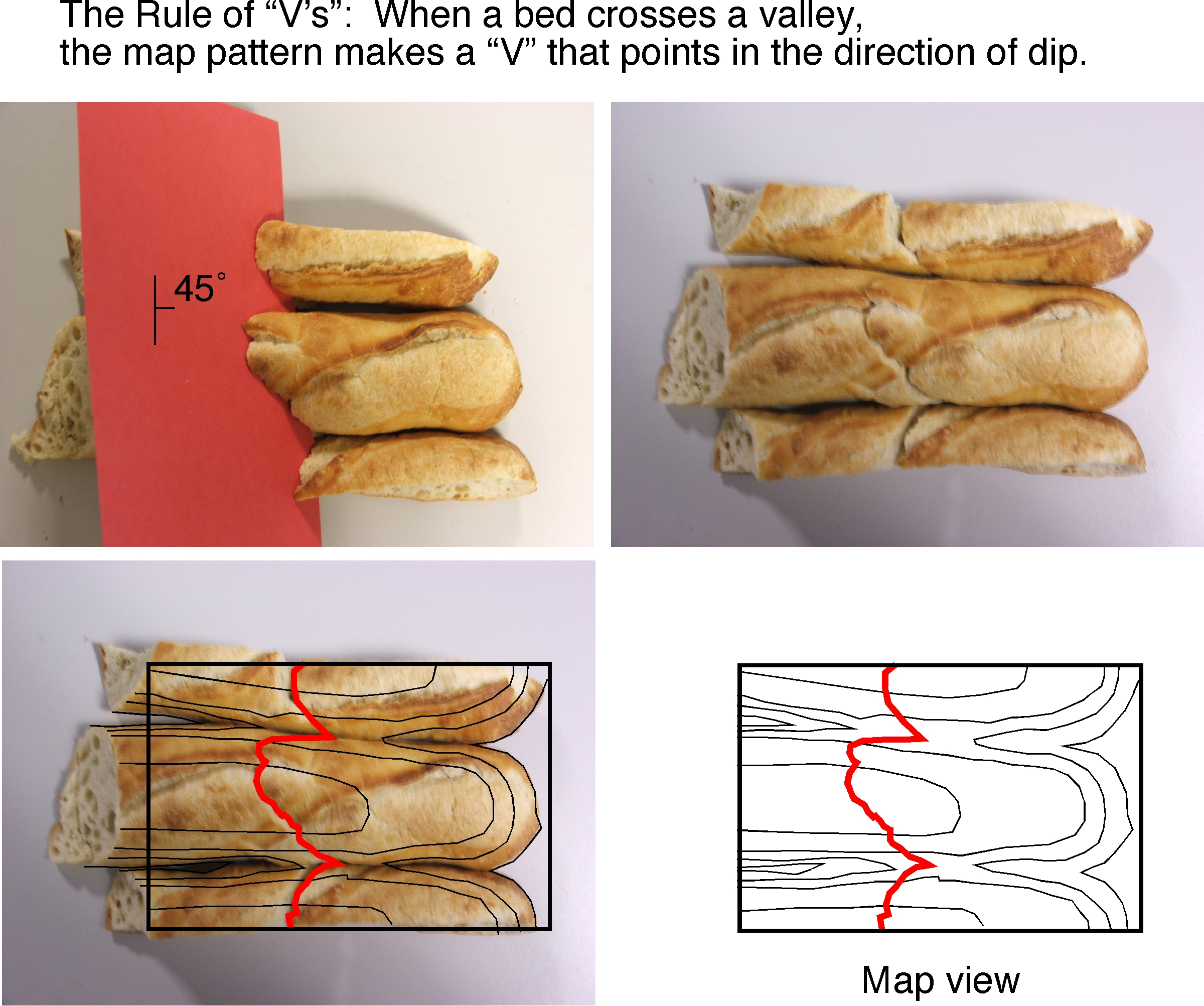 bread topography