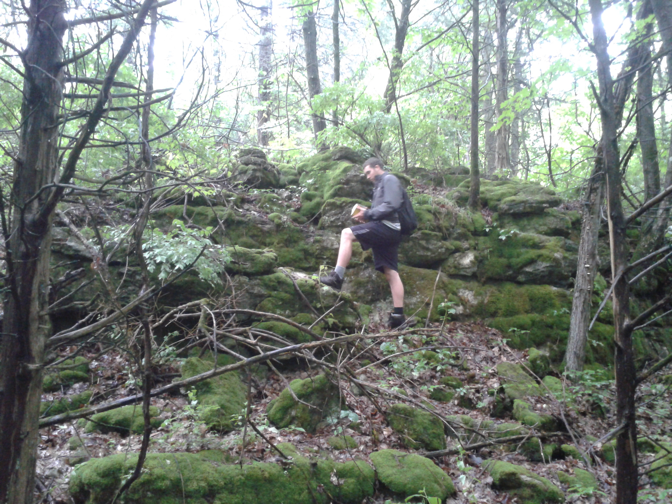 Bill on the outcrop