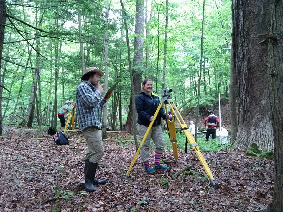 more surveying