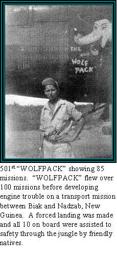 501st "WOLFPACK" Showing 85 missions.  