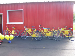 bike fleet