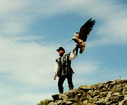 Le Puy du Fou