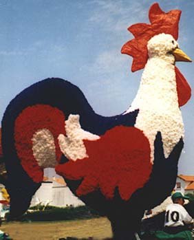 coq