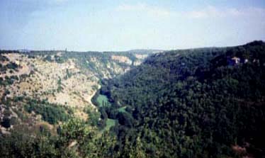 paysage