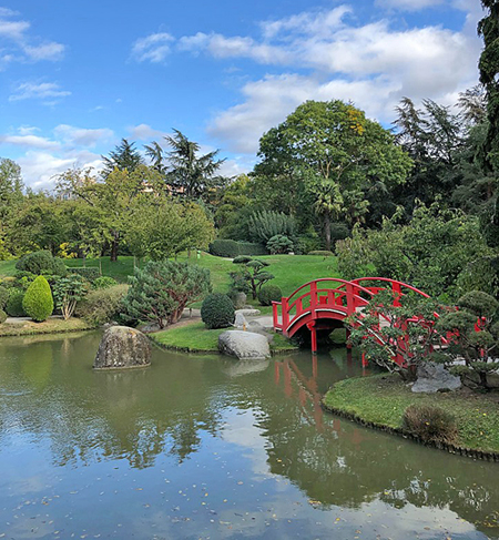 jardin