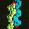 dna image