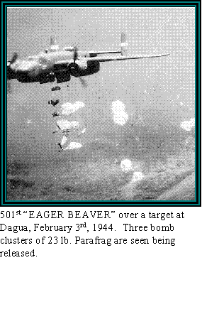 501st "EAGER BEAVER" over Dugua.